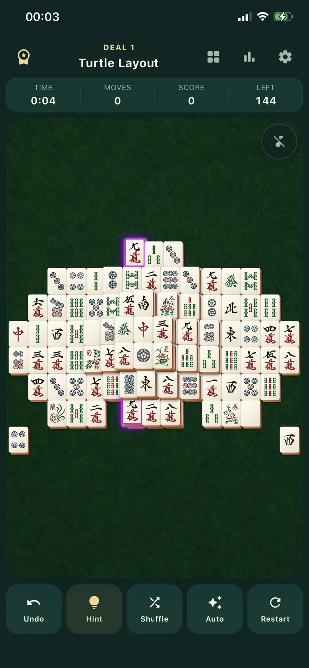 Turtle Layout with a highlighted matching pair
